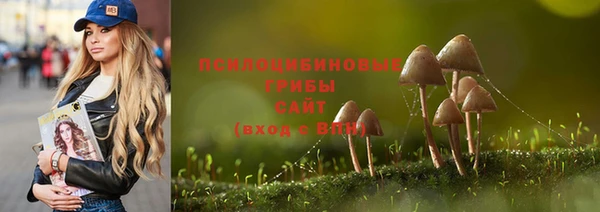 тгк Краснотурьинск