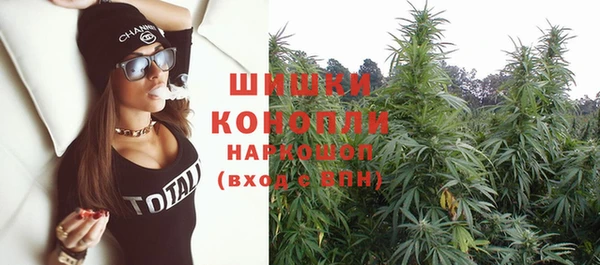 PSILOCYBIN Коряжма