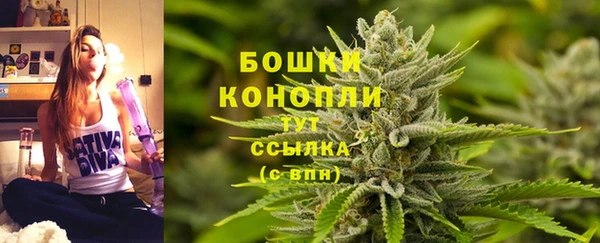ALPHA PVP Куйбышев