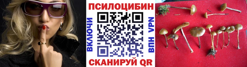 Галлюциногенные грибы Psilocybe  Михайловка 