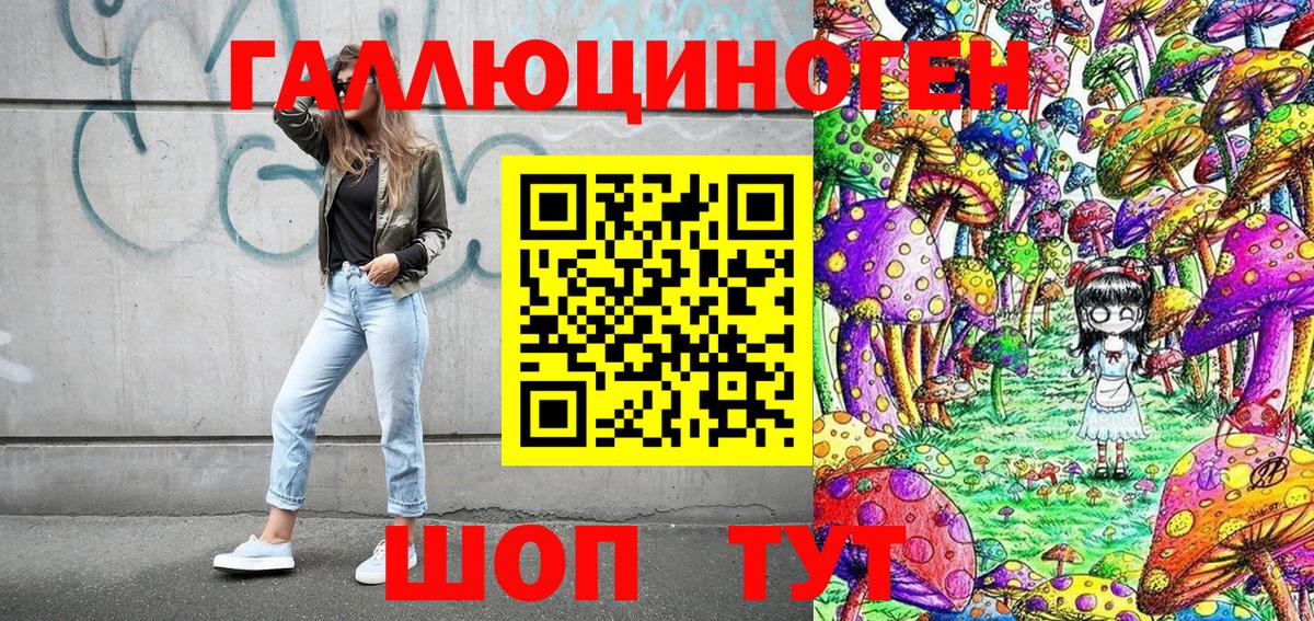 Псилоцибиновые грибы Psilocybe Михайловка