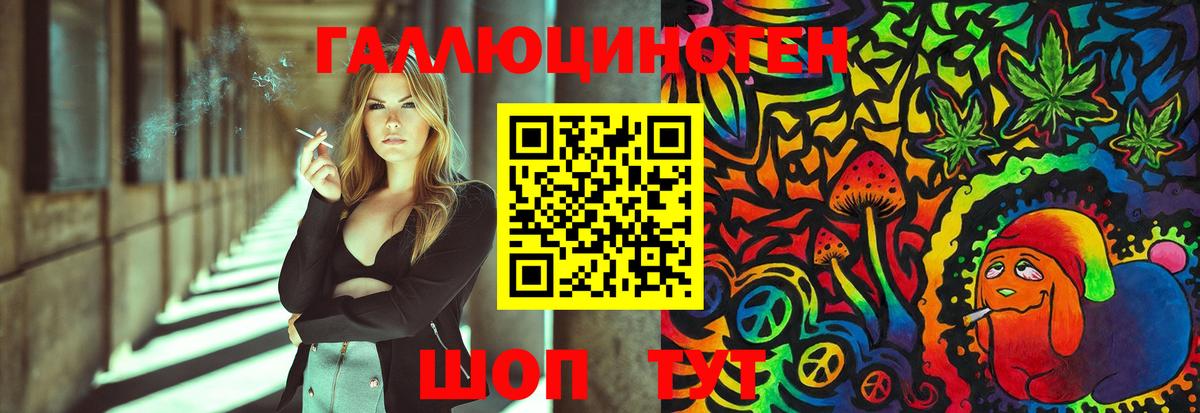 Галлюциногенные грибы Magic Shrooms  сколько стоит  Михайловка  Галлюциногенные грибы Cubensis 