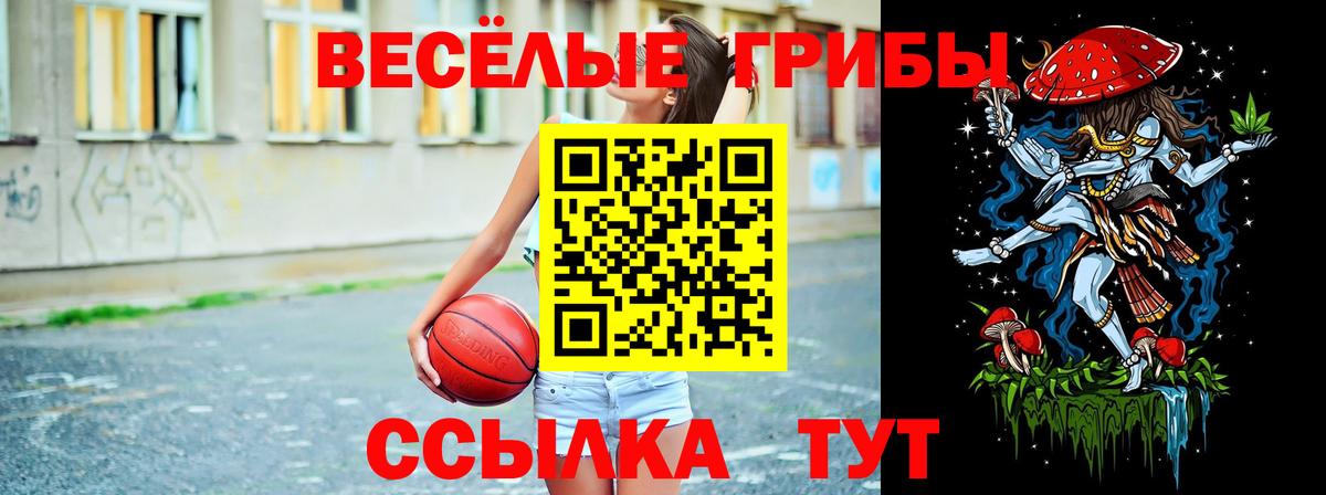 Михайловка  Псилоцибиновые грибы мицелий  Вход с VPN 
