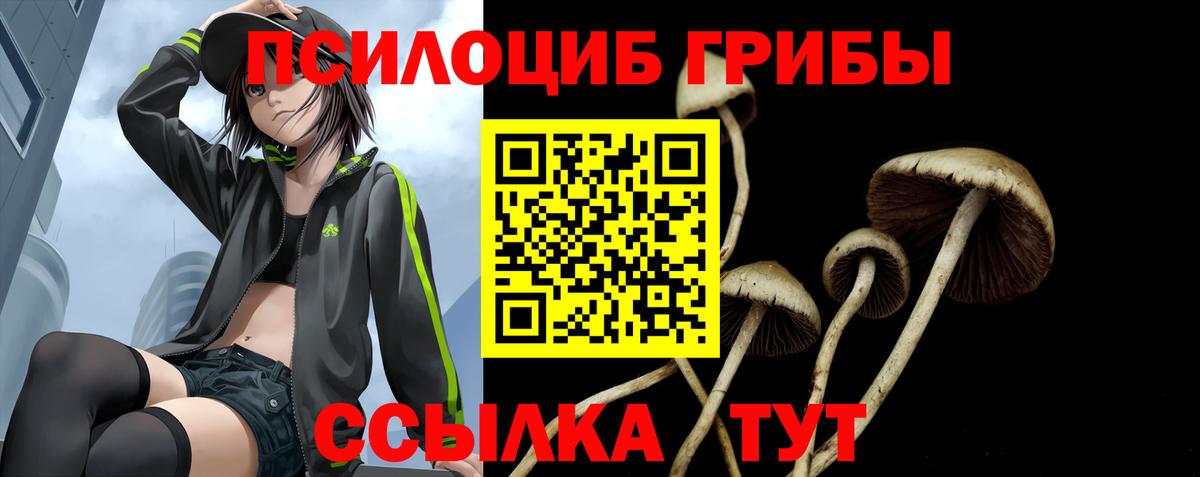 Псилоцибиновые грибы GOLDEN TEACHER Михайловка